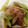 hanorchid's cooksnap of when they made 長いもと長ねぎとベーコンの炒め物.