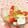 赤い電話's cooksnap of when they made とまとと豆腐のさっぱりサラダ.