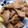 はらぺこウサギのママ's cooksnap of when they made ☆豚の生姜焼き☆.
