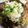 はらぞぅ's cooksnap of when they made 簡単厚揚げとなすのとろとろ煮物.