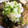 はらぞぅ's cooksnap of when they made 簡単厚揚げとなすのとろとろ煮物.