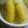 はらへりみっち's cooksnap of when they made スイートコーン/とうもろこしの茹で方.