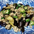 saruk1's cooksnap of when they made ナス1本で♫ナスと豚ひき肉の中華炒め.