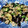 saruk1's cooksnap of when they made ナス1本で♫ナスと豚ひき肉の中華炒め.