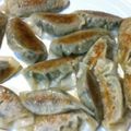 yasukova's cooksnap of when they made ベジタリアンの基本の餃子.