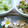 ママフィオ's cooksnap of when they made 厚揚げと小松菜の煮物.