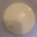 シングルアイシャドウ's cooksnap of when they made 欲しい分だけ♪手作り練乳‼.