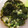こだまだよ。's cooksnap of when they made モロヘイヤとオクラのとろりだし.