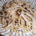 アンティーけいこ's cooksnap of when they made 塩昆布♥♡もやし炒め.