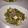 はずいつ's cooksnap of when they made ゴーヤチャンプルー.