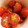 mikkosann's cooksnap of when they made プチトマトの保存用マリネ.