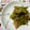 ぶークリーム's cooksnap of when they made ゴーヤのみそ炒め.