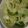ぶーたーこー's cooksnap of when they made キャベツとピーマンのナムル＊.
