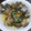 きゅーまるしき's cooksnap of when they made あさりの白ワイン蒸し.