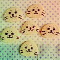 ☆☆☆☆★'s cooksnap of when they made 簡単♫かわいい♡しろたんクッキー.
