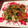 にゃお姫's cooksnap of when they made ペンネと炒め野菜のサラダ仕立て.