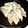 ゆーちゃん？'s cooksnap of when they made 簡単で美味しい餃子の焼き方.