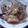 あんずっコ's cooksnap of when they made 魚のアラと大根の煮物.