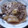 あんずっコ's cooksnap of when they made 魚のアラと大根の煮物.