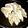 ゆーちゃん？'s cooksnap of when they made 手作り餃子.