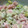 つよしのごはん's cooksnap of when they made ◎お弁当スピードおかず◎枝豆あえてマヨ.