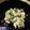 だにゃー's cooksnap of when they made オクラとゴーヤの夏の白和え.
