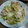 hitomiria's cooksnap of when they made レタスと豚肉のごまぽん和え.
