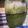 伽羅子's cooksnap of when they made 自家製バジルソース♪.