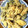 ダサコ's cooksnap of when they made きのこと野菜の天ぷら.