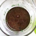 汐璃ママ's cooksnap of when they made オススメ！手作り梅ドレッシング.
