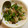 ゆきみたまご's cooksnap of when they made 簡単！ピーマンとしめじとエビ炒め.