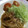べらのってぃ's cooksnap of when they made 甘旨☆しょうが焼.