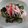 KENERISA's cooksnap of when they made ＊きゅうりとワカメの冷や奴＊胡麻ドレ.