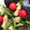 janiya01's cooksnap of when they made アボカドにギュっとすだちさっぱりサラダ.