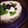 かまぴーちゃん's cooksnap of when they made ブルーベリー＊レアチーズケーキ.