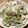 ♩キティ♩'s cooksnap of when they made ゴーヤとツナのマヨサラダ.