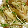 さくえり坊's cooksnap of when they made 【簡単おつまみ】かいわれ茗荷.