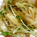 さくえり坊's cooksnap of when they made 【簡単おつまみ】かいわれ茗荷.