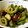 roko☆'s cooksnap of when they made 茄子と苦瓜の味噌炒め.