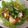 ぱこクッキィ's cooksnap of when they made 豆腐サラダオクラのっけ.