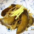 tennisnoah's cooksnap of when they made ナスともやしのさっぱり炒め.