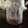 ayapiママ's cooksnap of when they made ブルーベリー酵母～実から中種・元種編～.