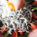 ぶーた、's cooksnap of when they made トマトとシラスとポーチドエッグのサラダ.