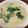 peilian's cooksnap of when they made 鶏肉と白菜ほうれん草のミルク煮.