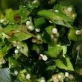小日向はづき's cooksnap of when they made すぐできる！オクラとわかめのポン酢和え☆.