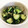 ケティ。's cooksnap of when they made きゅうりとみょうがの梅昆布茶漬け.