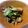 ネムネム犬's cooksnap of when they made オクラとみょうがの夏野菜サラダ.