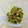 あっこ姉's cooksnap of when they made 箸休め☆ゴーヤとみょうがの甘酢和え.