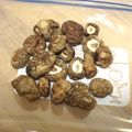 檜佐木ぐるぐる's cooksnap of when they made ベランダでできるよ！干し椎茸.