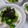 reiyan1956's cooksnap of when they made 長芋とおくらのお通し.